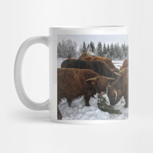 Scottish Highland Cattle Bulls 1916 Mug